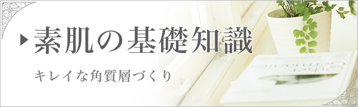 素肌の基礎知識。キレイな角質層づくり